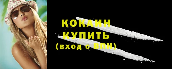 mdpv Краснослободск