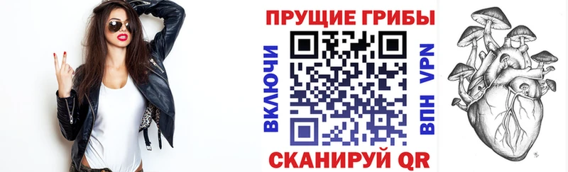 кракен сайт  Фокино  Галлюциногенные грибы MAGIC MUSHROOMS 